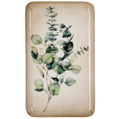 plateau eucalyptus (r18369)